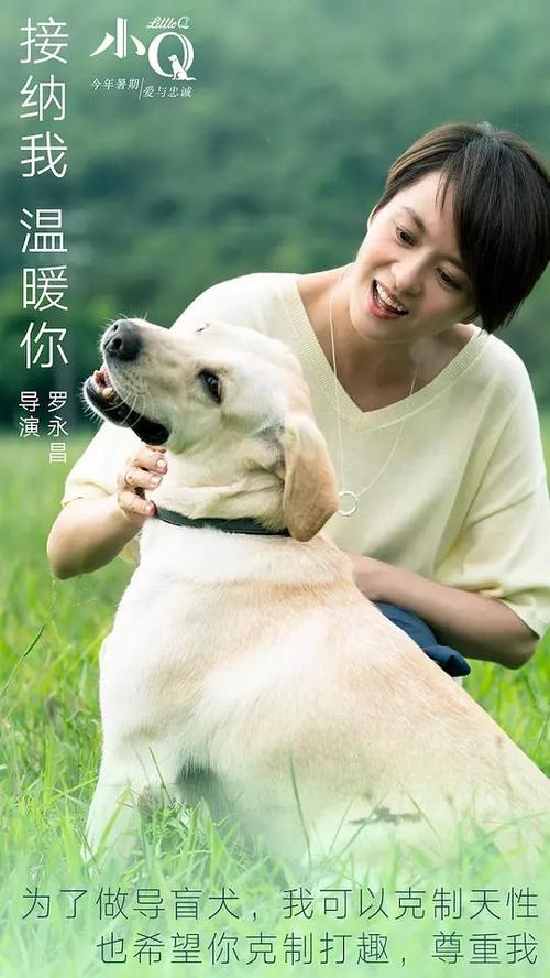 怎么购买哥斯达黎加护照